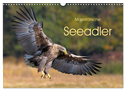 Majestätische Seeadler (Wandkalender 2024 DIN A3 quer), CALVENDO Monatskalender