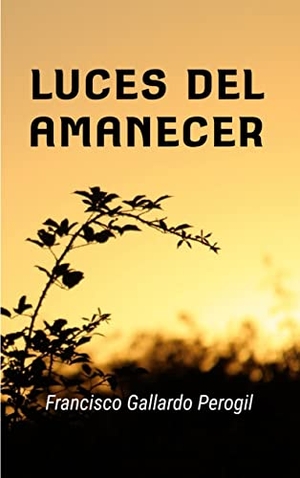 Gallardo Perogil, Francisco. Luces del Amanecer. Books on Demand, 2022.