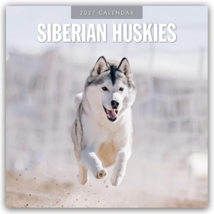 Red, Robin. Siberian Huskies - Sibirischer Husky - Sibirische Huskys 2027 - 16-Monatskalender - Original Red Robin Publishing Ltd-Kalender [Mehrsprachig] [Kalender]. Browntrout Verlags GmbH, 2026.