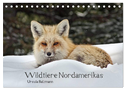 Wildtiere Nordamerikas (Tischkalender 2024 DIN A5 quer), CALVENDO Monatskalender