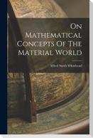 On Mathematical Concepts Of The Material World