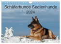 Schäferhunde Seelenhunde (Wandkalender 2024 DIN A4 quer), CALVENDO Monatskalender