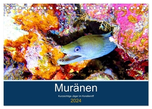 Hess, Andrea. Muränen - Kurzsichtige Jäger im Korallenriff (Tischkalender 2024 DIN A5 quer), CALVENDO Monatskalender - Muränen werden zu Unrecht als Schrecken der Meere bezeichnet. Calvendo, 2023.