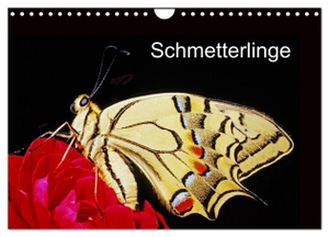 Bachmeier Huwiler Krause Kreuter Schreiter Steinkamp, McPHOTO. Schmetterlinge (Wandkalender 2024 DIN A4 quer), CALVENDO Monatskalender - Schmetterlinge vor der Kamera. Calvendo Verlag, 2023.