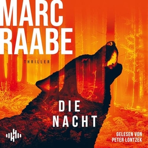 Raabe, Marc. Die Nacht (Art Mayer-Serie 3) - Bestseller von Marc Raabe bringen Sie um den Schlaf!. Hörbuch Hamburg, 2025.