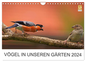 Vögel in unseren Gärten 2024 (Wandkalender 2024 DIN A4 quer), CALVENDO Monatskalender