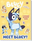 Bluey