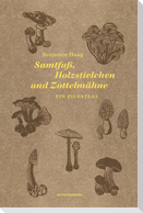 Samtfuß, Holzstielchen und Zottelmähne