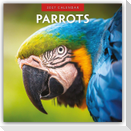 Parrots - Papageien 2027 - 16-Monatskalender