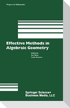 Effective Methods in Algebraic Geometry