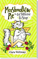 Marshmallow Pie The Cat Superstar On Stage
