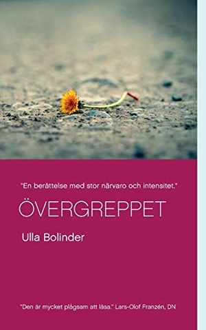 Bolinder, Ulla. Övergreppet. Books on Demand, 2019.