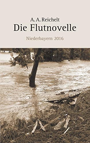 Reichelt, A. A.. Die Flutnovelle - Niederbayern 2016. TWENTYSIX, 2017.