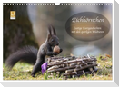 Eichhörnchen - Lustige Kurzgeschichten mit den quirligen Wildtieren (Wandkalender 2024 DIN A3 quer), CALVENDO Monatskalender