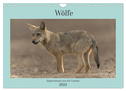 Wölfe, Impressionen aus der Lausitz (Wandkalender 2024 DIN A4 quer), CALVENDO Monatskalender