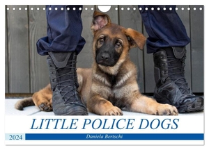 Bertschi, Daniela. Little Police Dogs (Wandkalender 2024 DIN A4 quer), CALVENDO Monatskalender - Lassen Sie sich jeden Monat aufs Neue durch die wunderschönen, jungen Polizeihunde verzaubern.. Calvendo, 2023.