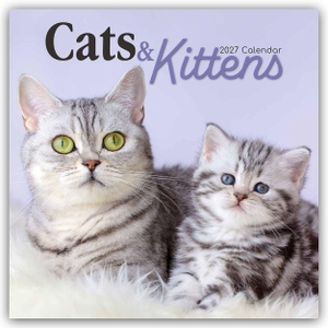 Gifted Stationery Co. Ltd. Cats and Kittens - Katzen und Kätzchen 2027 - 16-Monatskalender - Original Gifted Stationery-Kalender [Mehrsprachig] [Kalender]. Browntrout Verlags GmbH, 2026.