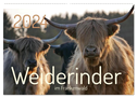 Weiderinder im Frankenwald (Wandkalender 2024 DIN A2 quer), CALVENDO Monatskalender
