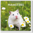 Hamsters - Hamster 2027 - 16-Monatskalender