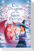Cat Dragon and The Snow Fairies