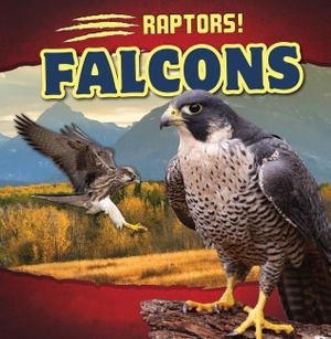 Wilson, Emily. Falcons. Rosen Publishing Group, Inc, 2015.