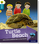 Oxford Reading Tree Explore with Biff, Chip and Kipper: Oxford Level 9: Turtle Beach