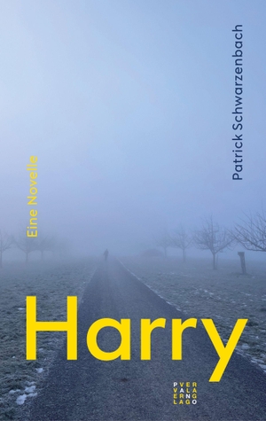 Schwarzenbach, Patrick. Harry - Eine Novelle. Theologischer Verlag Ag, 2026.