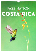 Faszination Costa Rica (Wandkalender 2025 DIN A3 hoch), CALVENDO Monatskalender