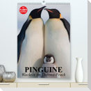 Pinguine. Wackeln im Thermo-Frack (Premium, hochwertiger DIN A2 Wandkalender 2023, Kunstdruck in Hochglanz)