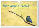 Mes anges bleus "mésanges bleues" (Calendrier mural 2024 DIN A4 vertical), CALVENDO calendrier mensuel