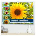 Strahlende Sonnenblumen (hochwertiger Premium Wandkalender 2025 DIN A2 quer), Kunstdruck in Hochglanz