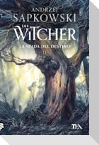 La spada del destino. The Witcher. Vol. 2