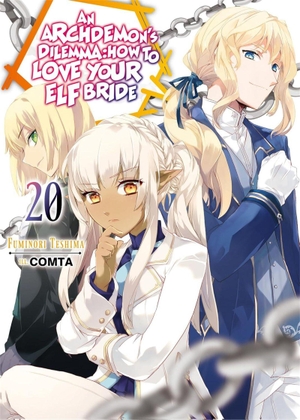Comta / Teshima, Fuminori et al. An Archdemon's Dilemma: How to Love Your Elf Bride: Volume 20 (Light Novel). Little, Brown & Company, 2026.
