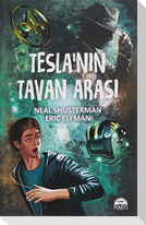 Teslanin Tavan Arasi