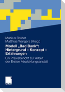 Modell ¿Bad Bank¿: Hintergrund - Konzept - Erfahrungen