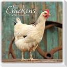 Chickens - Hühner 2027 - 16-Monatskalender