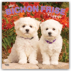 Publishers, Browntrout. Bichon Frisé Puppies - Bichon Frisé Welpen 2027 - 16-Monatskalender - Original BrownTrout-Kalender [Mehrsprachig] [Kalender]. Browntrout Verlags GmbH, 2026.
