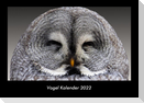 Vogel Kalender 2022 Fotokalender DIN A3