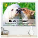 Beste Freunde - Bezaubernde Tierfreundschaften (hochwertiger Premium Wandkalender 2025 DIN A2 quer), Kunstdruck in Hochglanz