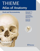 Head and Neuroanatomy