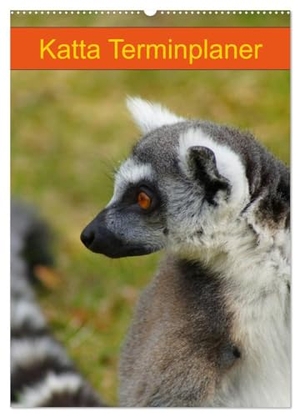 Kattobello, Kattobello. Katta Terminplaner (Wandkalender 2024 DIN A2 hoch), CALVENDO Monatskalender - Lemuren auf Madagaskar. Calvendo Verlag, 2023.