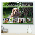 English Cocker Spaniels - Ein Spaziergang im Park (hochwertiger Premium Wandkalender 2024 DIN A2 quer), Kunstdruck in Hochglanz