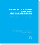 Capital, Labour and the Middle Classes (Rle Social Theory)