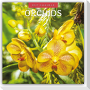 Orchids - Orchideen 2027 - 16-Monatskalender