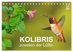 Birdimagency, Bia. Kolibris - Juwelen der Lüfte (Tischkalender 2024 DIN A5 quer), CALVENDO Monatskalender - Atemberaubende Flugaufnahmen von Kolibris. Calvendo Verlag, 2023.
