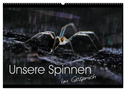 Unsere Spinnen - im Gespräch (Wandkalender 2025 DIN A2 quer), CALVENDO Monatskalender