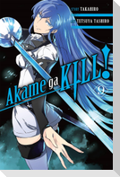 Akame Ga Kill!, Vol. 9