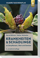 Krankheiten & Schädlinge an Zierpflanzen, Obst und Gemüse