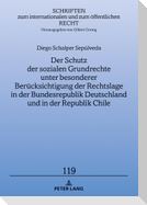 Der Schutz der sozialen Grundrechte unter besonderer Berücksichtigung der Rechtslage in der Bundesrepublik Deutschland und in der Republik Chile
