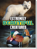 Extremely Beautiful Creatures
